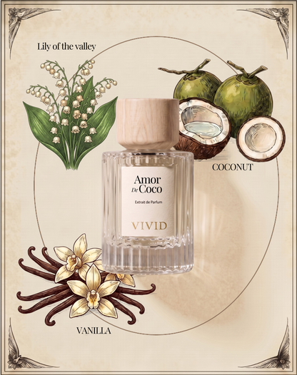 Amor De Coco